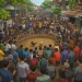 jumlah penonton cocote tonggo